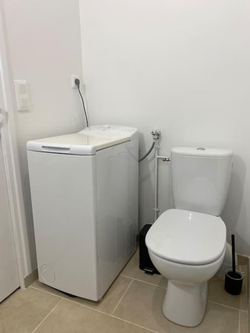 Appart Renove En Duplex Avec Terrasse Et Garage Bouleurs Exterior photo
